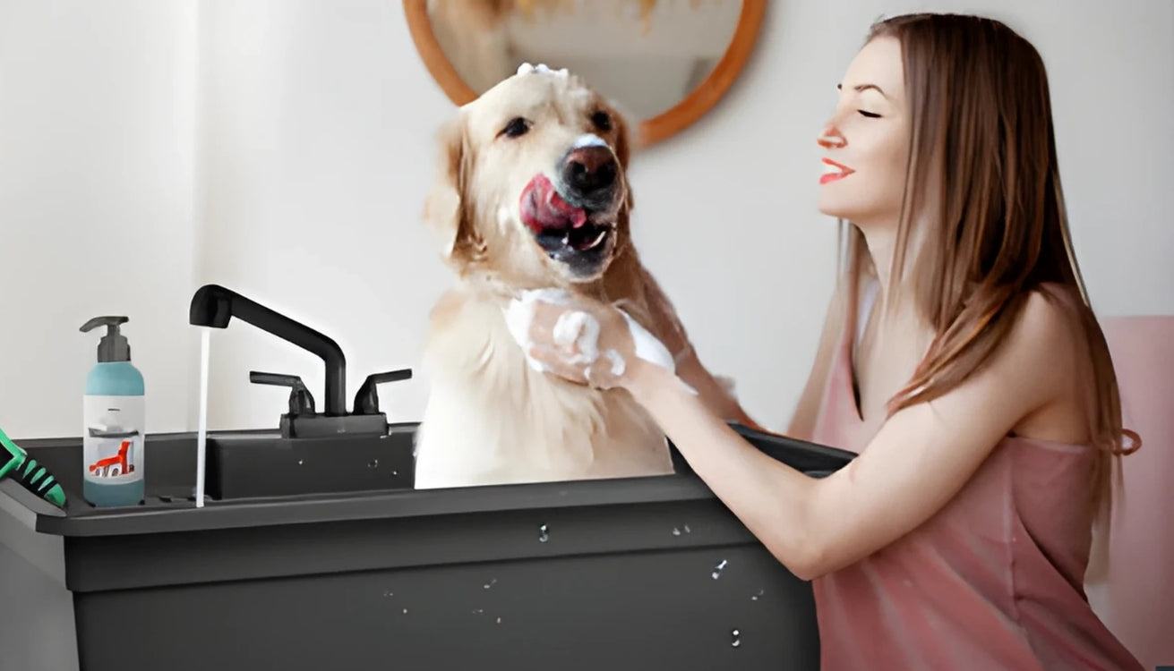 Pet Owners’ Secret Weapon